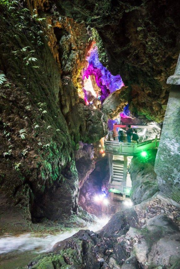 大山羔羊逃生